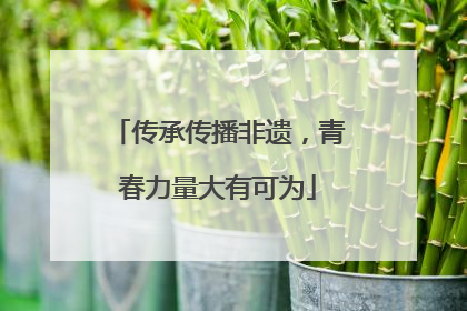 传承传播非遗，青春力量大有可为